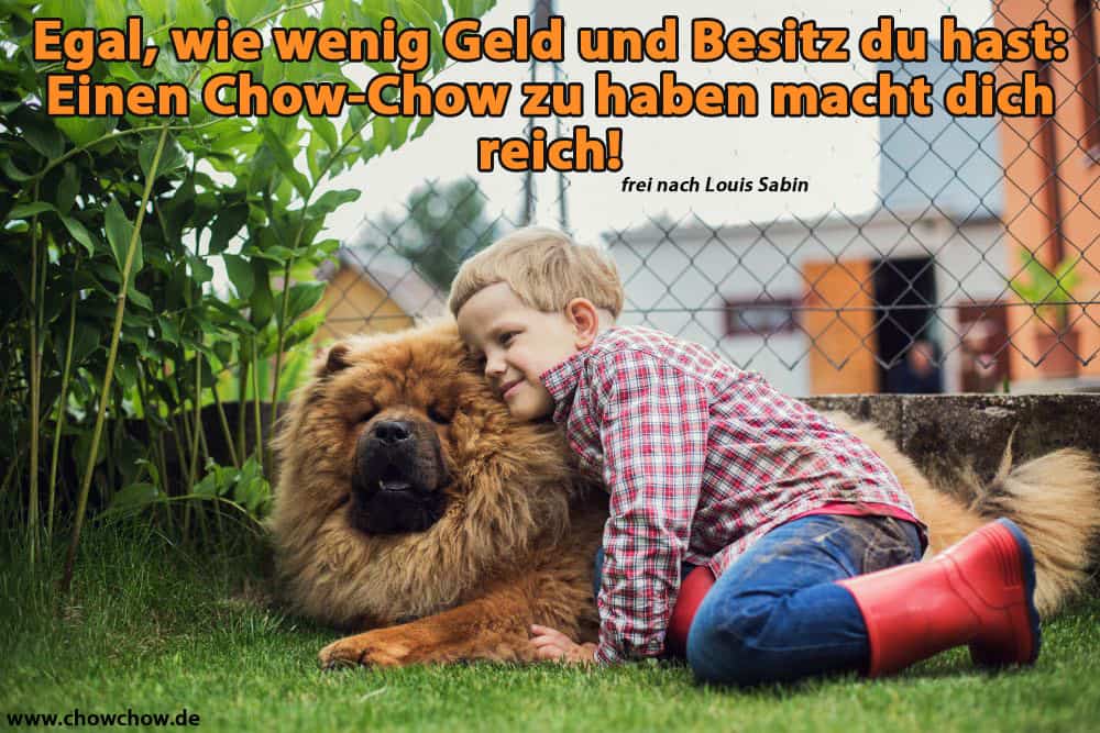 Ein Junge umarmt seinen Chow-Chow