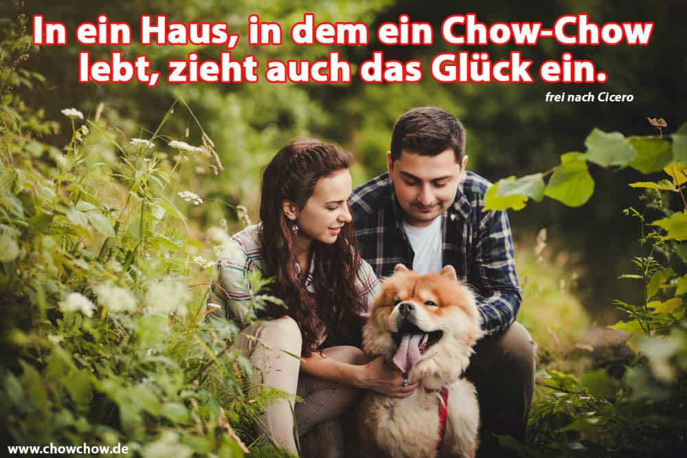 Eine Familie umarmt ihre Chow-Chow