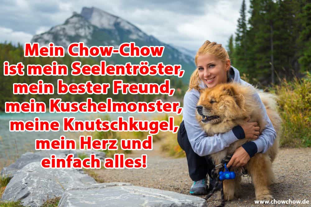 Eine Frau umarmt ihren Chow-Chow im Wald