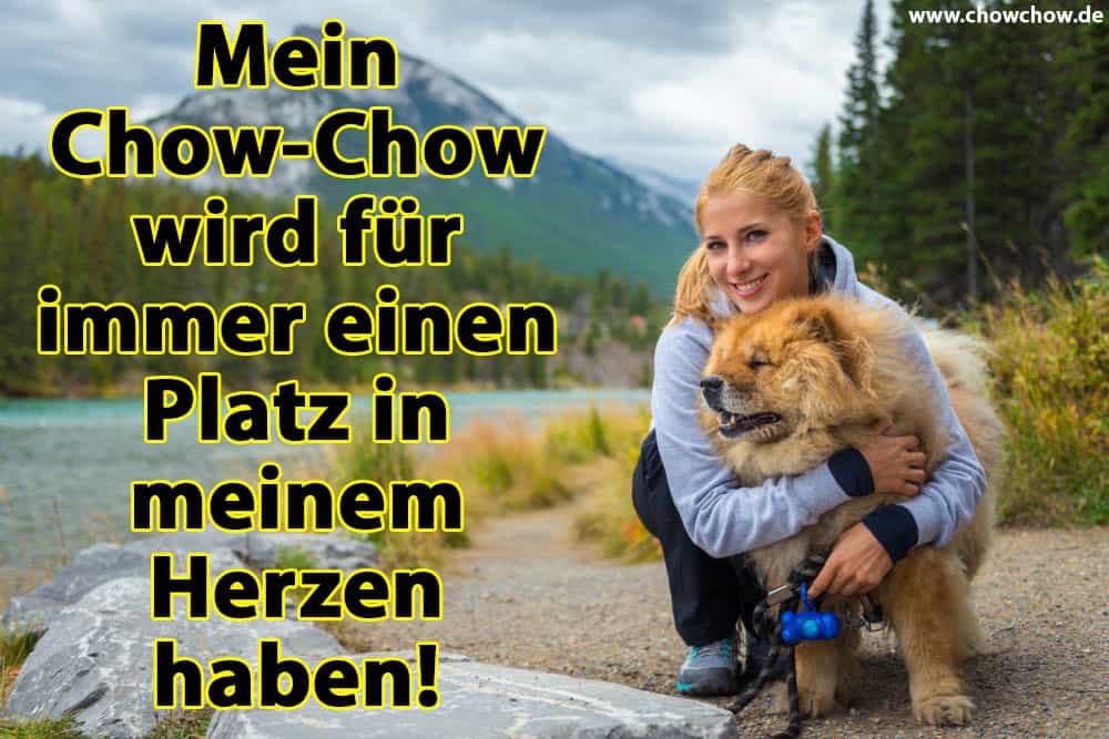 Eine Frau umarmt ihren Chow-Chow im Wald