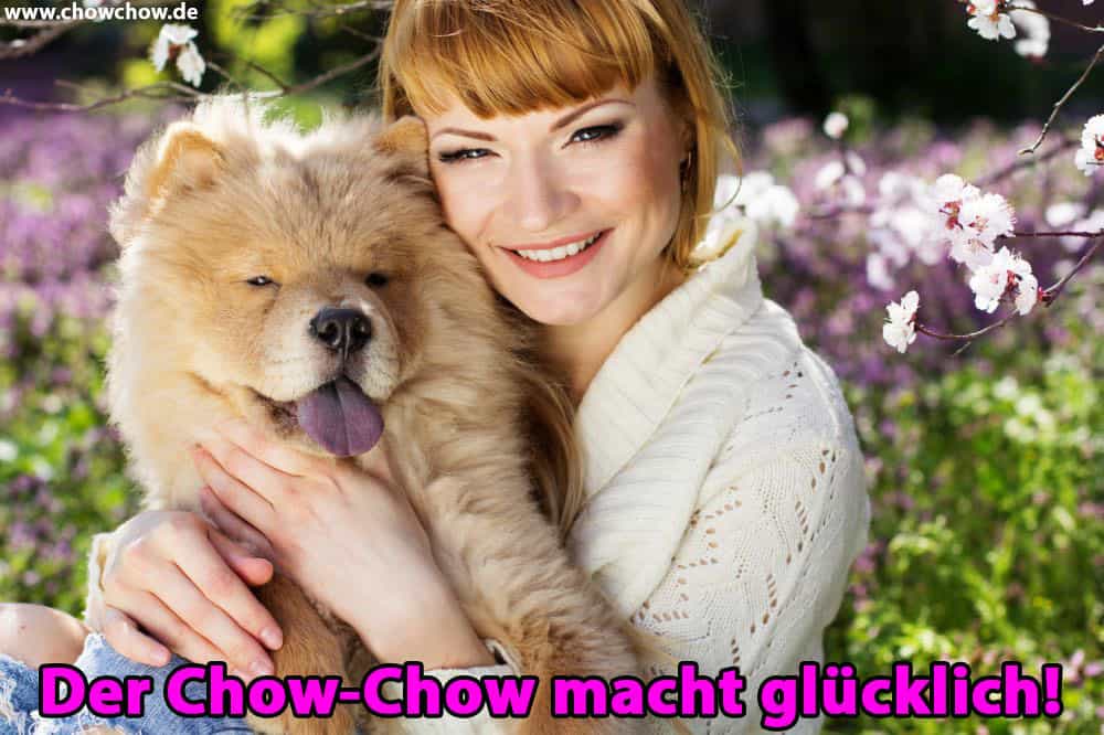 Eine Frau umarmt ihren Chow-Chow