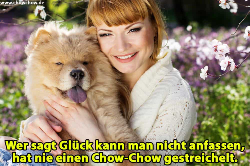 Eine Frau umarmt ihren Chow-Chow