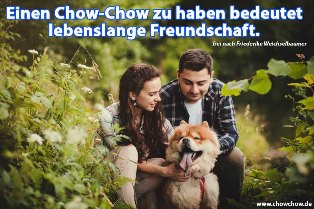 Eine Familie umarmt ihre Chow-Chow