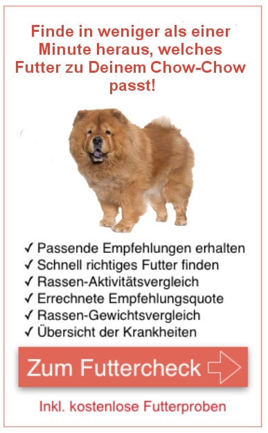 Einkaufsempfehlungen Chow-Chow 