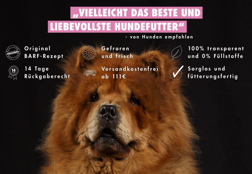 Chow-Chow barfen leicht gemacht.