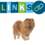 Chow-Chow Links auf andere Webseiten und Links auf unser Banner.