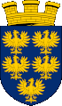 Chow-Chow Züchter und Welpen in Niederösterreich