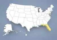 Chow-Chow Züchter in Florida,FL, Fla.